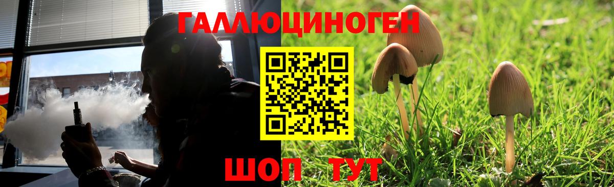 Галлюциногенные грибы мухоморы  купить наркоту  Тверь  Вход с VPN 