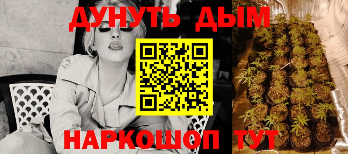 Канабис Bruce Banner  Каннабис семена  Вход с VPN  Тверь 